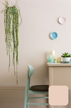 Farrow & Ball Pink Ground (202)