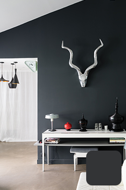Farrow & Ball Pitch Black