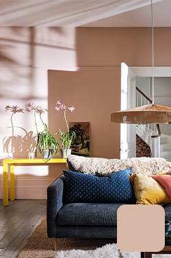 Farrow & Ball Setting Plaster (231)