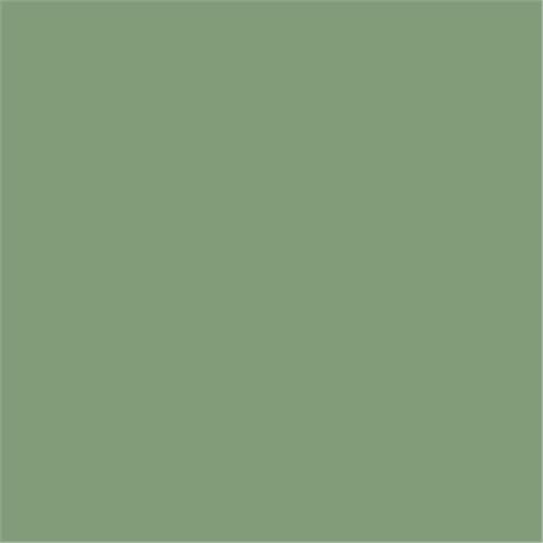 Farrow & Ball Breakfast Room Green (81) PaintPaper.nl