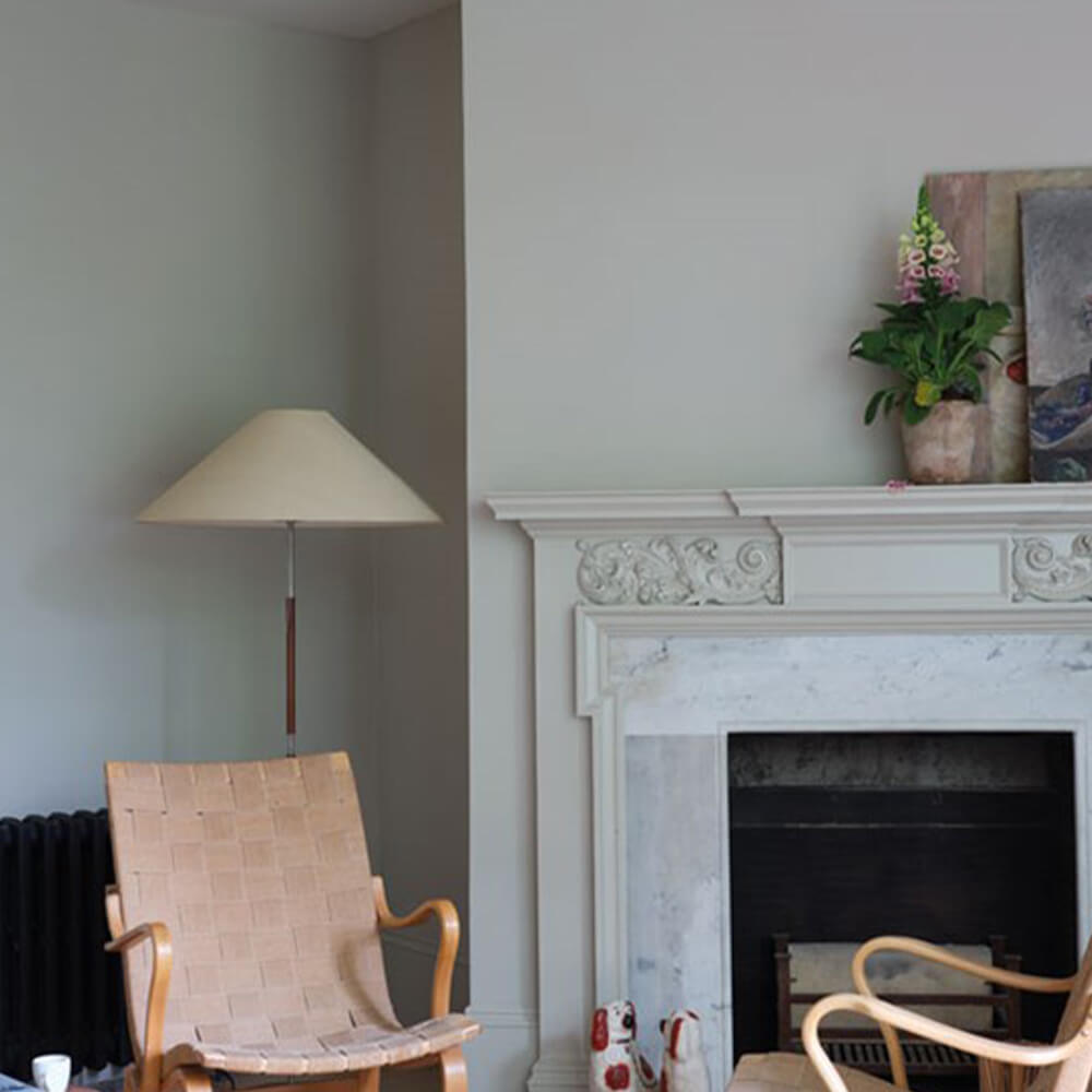 Farrow & Ball Ash Grey (W9)