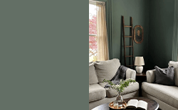 Farrow & Ball Green Smoke