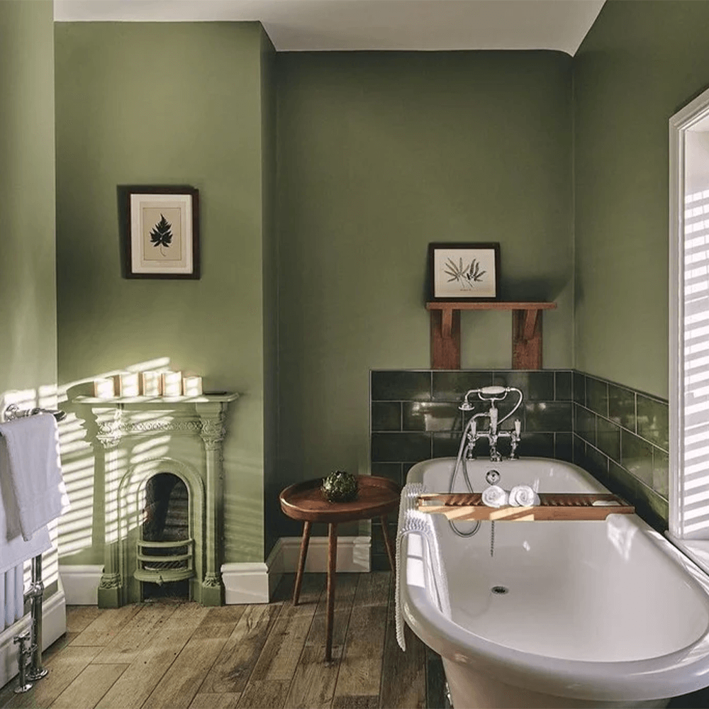 Farrow & Ball Lichen (19)