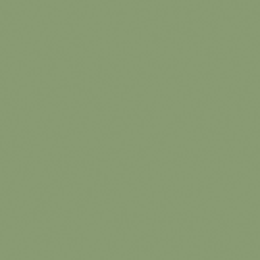 Farrow & Ball Yeabridge Green (287) PaintPaper.nl