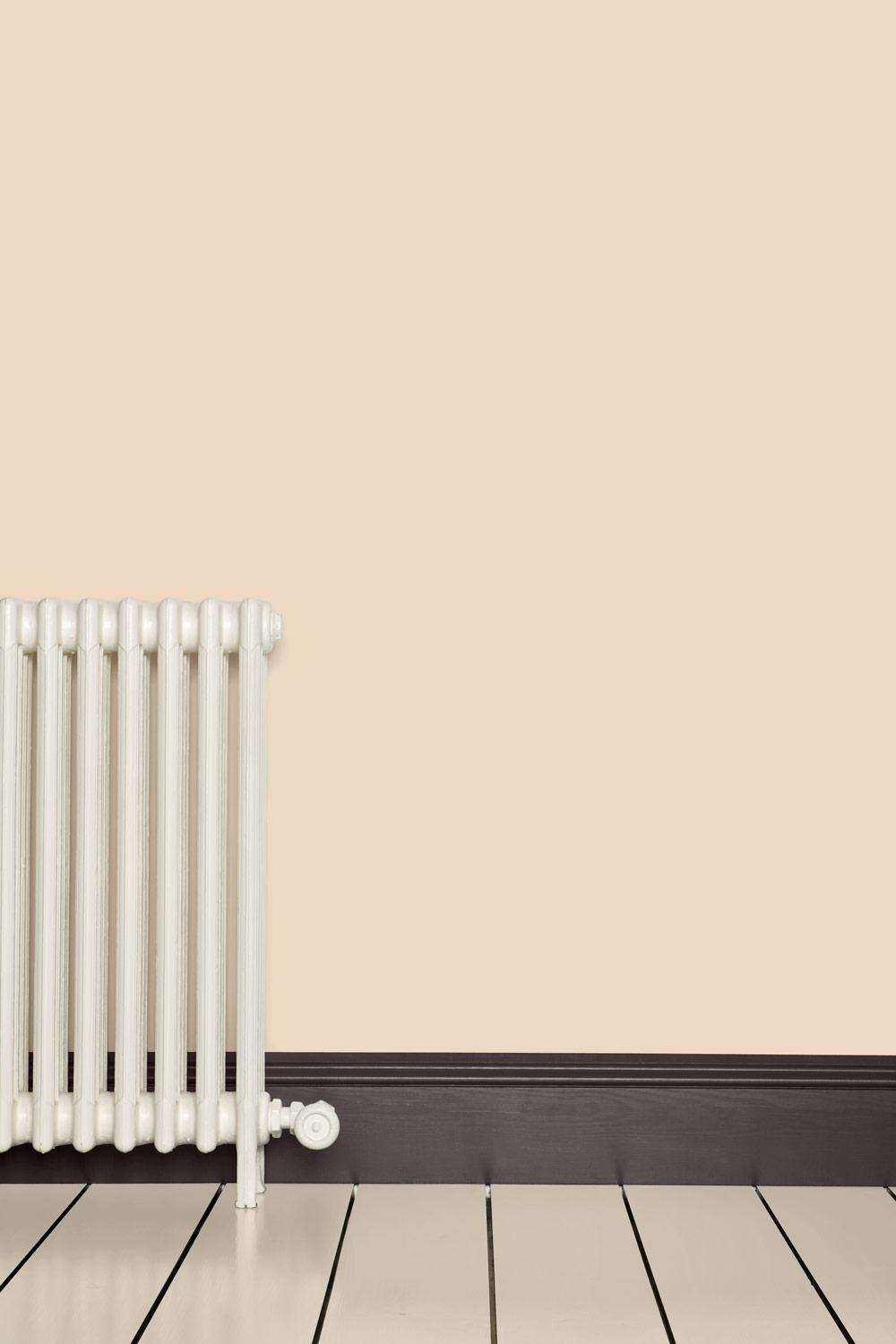 Farrow & Ball Setting Plaster® (231) PaintPaper.nl